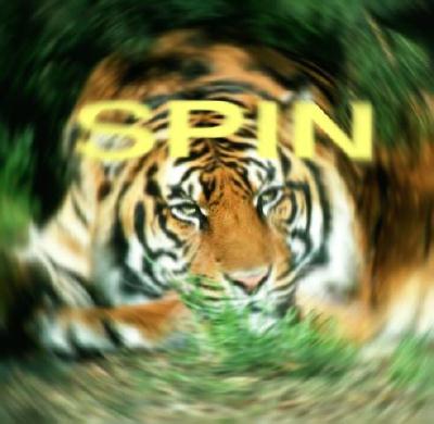 Spinning Tiger